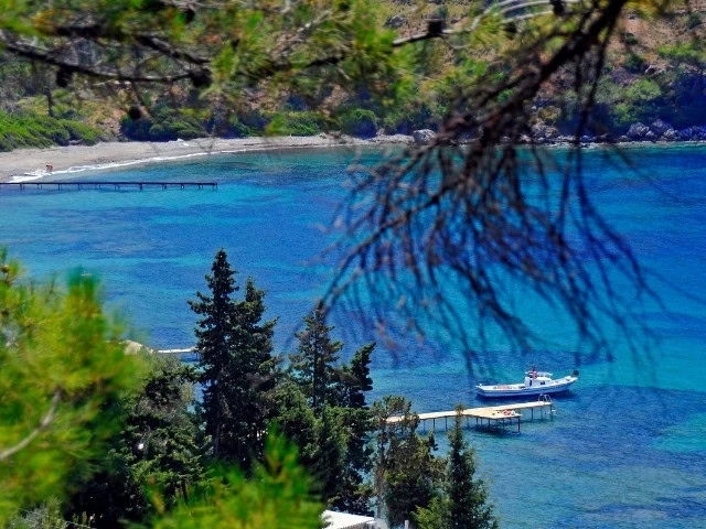 Bodrum'da sakin bir koy ve turkuaz renkli deniz manzarası. Yemyeşil doğanın içinde balayı ve romantşk bşr tatil için huzur dolu bir kaçış noktası.